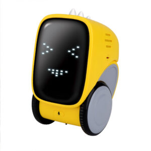 voice control robot